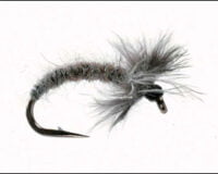 Vangen 10 Nymfer 2stk DE WIT #14 481002