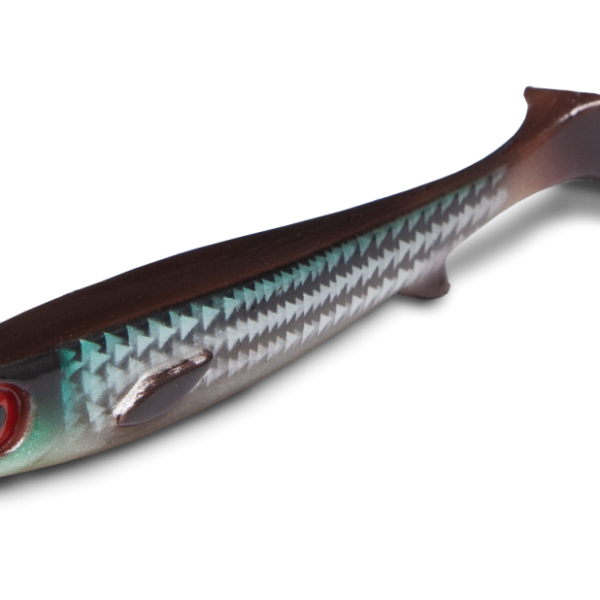 Flatnose Shad JR 15 - 2 stk Japanease Roach 15cm 30g with stinger 605966
