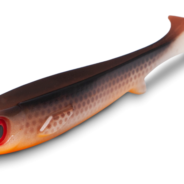 Flatnose Shad 19cm 50g Dirty Roach flat-di-ro-35