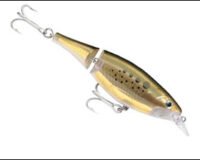 Rapala 11 X-Rap Jointed 13cm BNK 594301