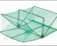 Elbe 20 Krabbeteine 62x45cm 109811