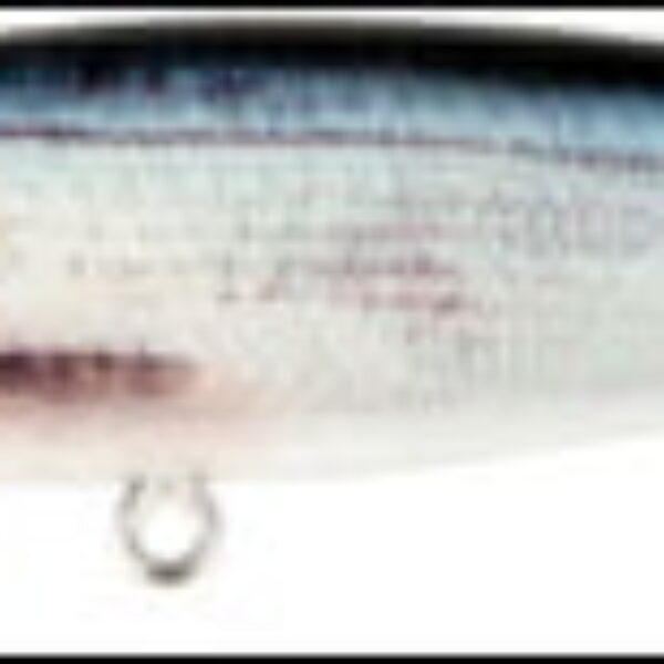 Prey Target 17 Common Whitfish 8,5cm 0551.0500