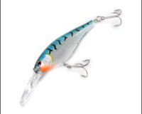 Berkley 14 Frezy Fl shad Fl 7cm Bluetiger 1123446