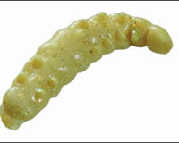 Berkley 21 Powerbait H.worms gl. Yellow 1109190
