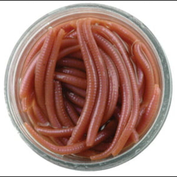 Berkley 21 Gulp Alive Earthworms 1140586