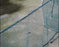 DreamTM Ledegarn for Abborteinene. 75cm x 7mtr