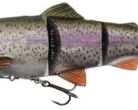 Savage Gear 4D Line T. Trout 15cm 40g Rainbow