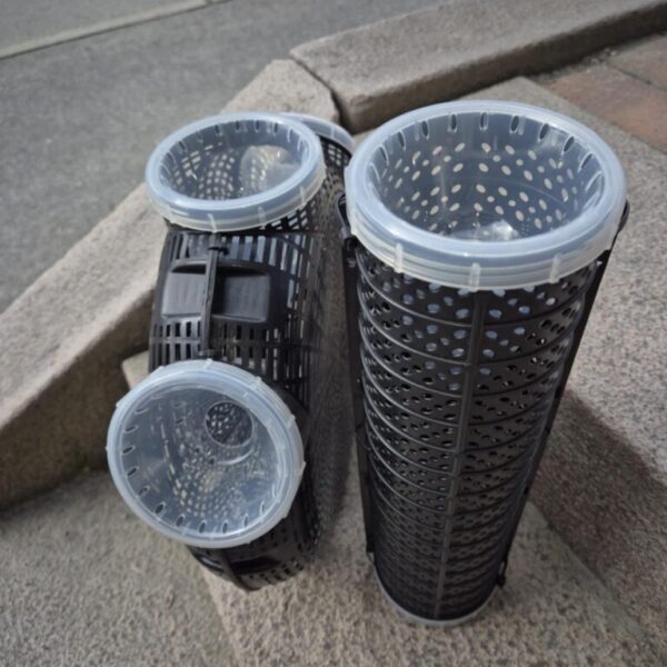 10 stk 3419-003 Orkyt-3 Nyutviklede DreamTM Ørekyteteiner med to innganger. Frakt inkludert!