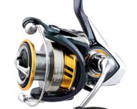 Daiwa Regal LT 2500D Haspelsnelle Frontbrems 210177